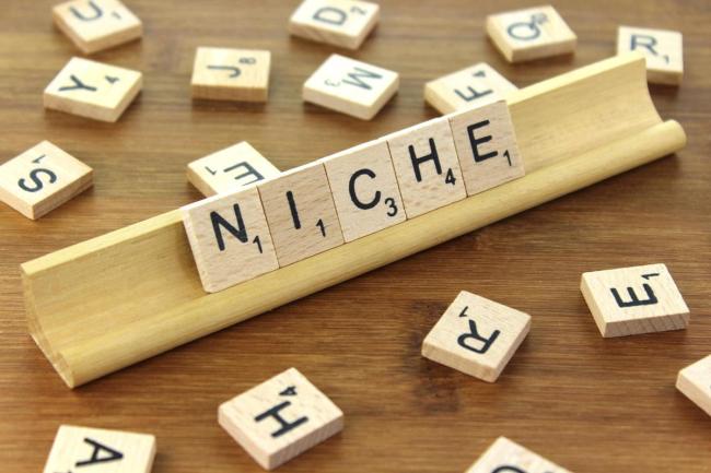 A photo of scrabble tiles, and the word NICHE settled into place on a scrabble tile holder