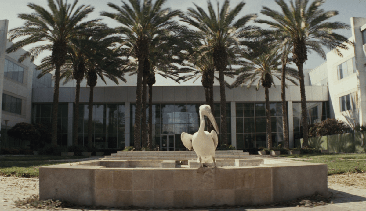 screenshot of the bird from the previous title card image, but without the episode title.