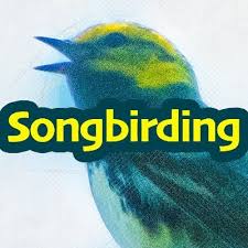 Image result for songbirding podcast